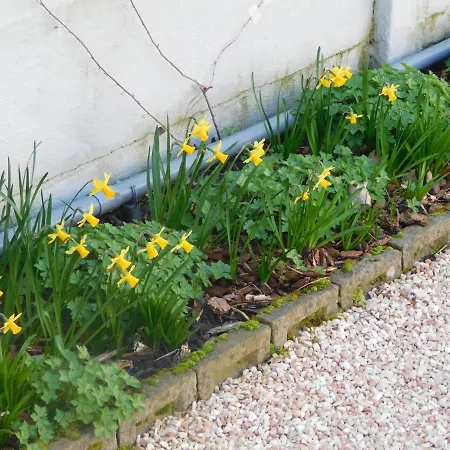Vakantiewoning Louis Mechelen